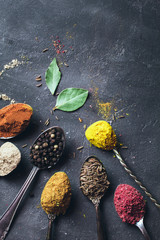 Beautiful colored spices in a silver spoon on a dark background. The concept of cooking, healthy food