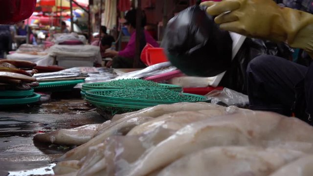 Busan, South Korea-01 July, 2017: 4K South Korean Woman At Work In Seafood Market Sell Fresh Food In street of Jagalchi Fish Market Busan. Vendor preparing and selling foods in South Korea-Dan