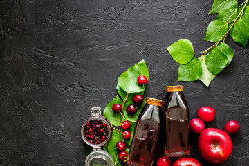 Cranberry morse with apple and pulm on black table top view copyspace © 9dreamstudio