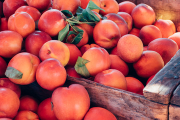 Locally Grown Organic Farmer's Market California Summer Nectarines