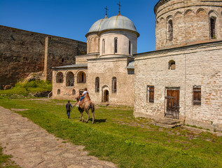 Obraz premium Historical monument - the fortress in Ivangorod,