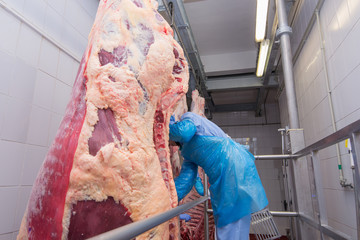 cutting meat slaughterhouse workers in a meat factory.