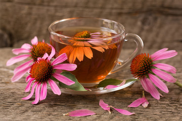 Cup of echinacea tea on old wooden table