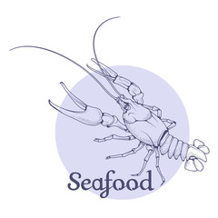 Vector seafood logo. Lobster. Isolated on white background. Ocean Delicacies collection