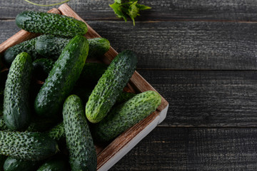 Fresh cucumbers in a wooden box on a black background.