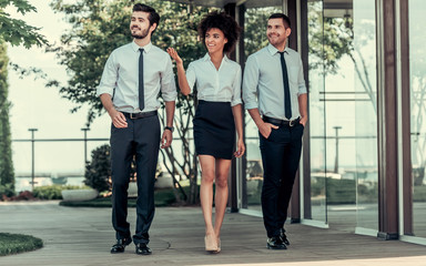 Fototapeta premium Business people working