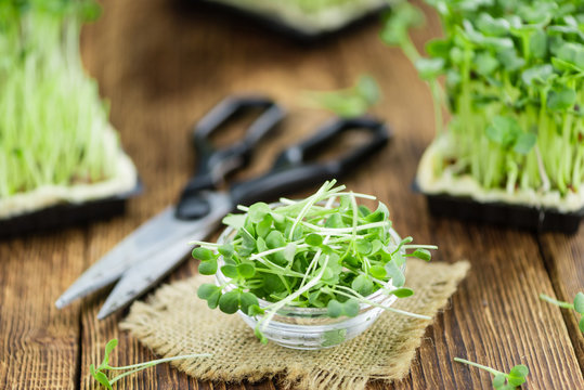 Cutted Cress (selective focus)