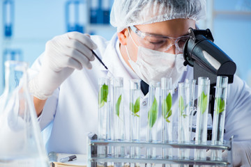 Biotechnology concept with scientist in lab