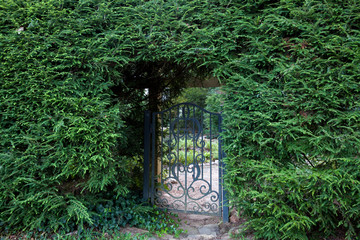Hedge Gate