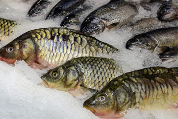 Fresh fish on ice in the market. seafood, non-GMO and chemistry.