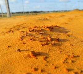 Deserto