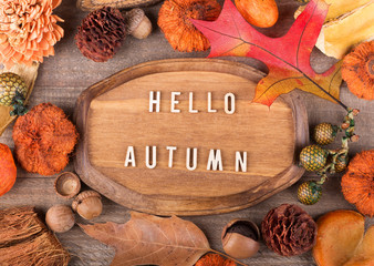 Hello Autumn Plaque With Fall Decorations © chas53
