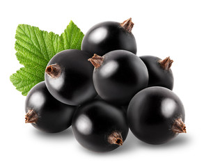 Isolated berries. Bunch of black currant fruits with leaf isolated on white background