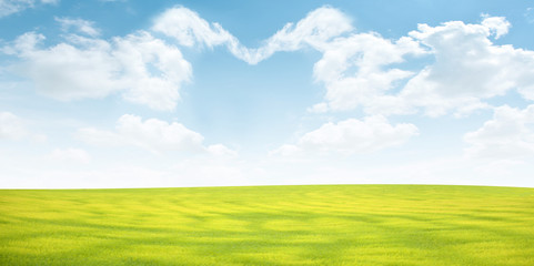 Meadow and sky with cloud of heart