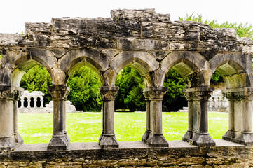 Ruins of a chancery at Cong Abbey, Ireland