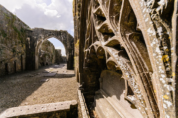 Naklejka premium Ornate ancient carved stonework in Strade Abbey, County Mayo, Ireland
