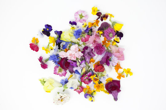 Group of edible flowers on a white background