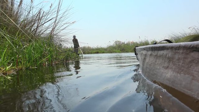 Cruising through the Okavango Delta in a Mokoro (4K footage)