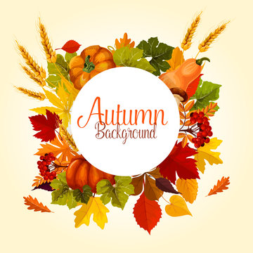 Autumn poster of vector leaf fall and harvest