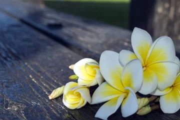 Foto op Plexiglas a bouquet of white tropical flowers plumeria on a dark background © Anna
