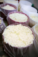 making artisanal cheese