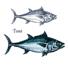 Tuna fish vector isolated sketch icon
