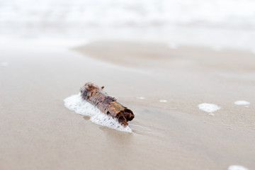 beach - driftwood