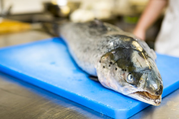 A whole raw salmon without bones. Fish salmon with the removed bones prepared for stuffing and baking.
