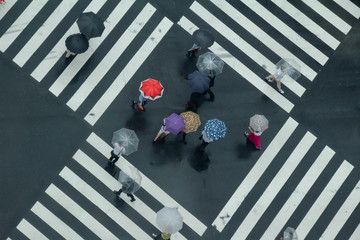 雨の日の横断歩道
