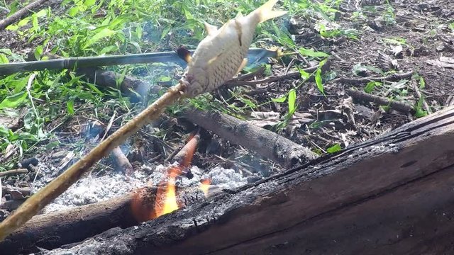 Grilling fish on campfire