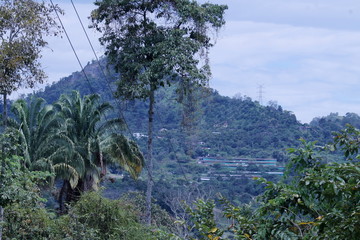 Obraz premium Countryside 