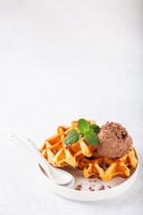 Belgian wafers and ball of chocolate ice cream. Selective focus. Copy space