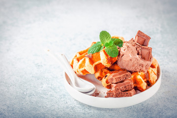 Belgian wafers and ball of chocolate ice cream. Selective focus. Copy space. Image tinted