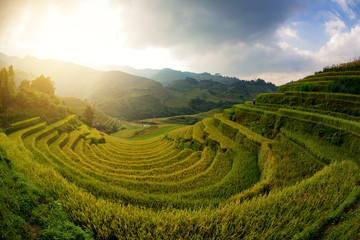 Vietnam beautiful curve landscape rice terrace view
