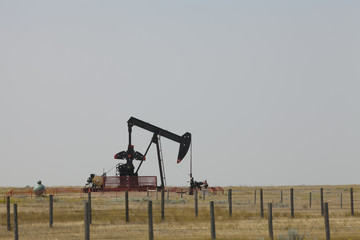 Fototapeta na wymiar Oil rig in Alberta field, Canada. Oil pump in the prairie.