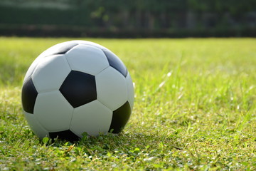 Fototapeta premium Football or soccer ball on the lawn with sunlight in morning day,outdoor activities.