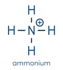 Ammonium cation. Protonated form of ammonia. Skeletal formula.