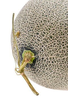 Close up the top of Hamigua melon (sweet cantaloupe melon) isolated on white background.