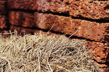 Rice straw closeup shadow and brown bricks wall background