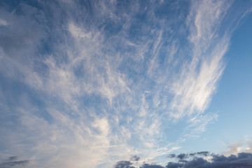 Naklejka na ściany i meble Cirrus clouds sky scape