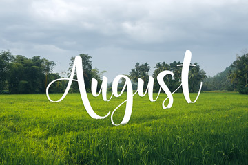 August text on tropical field and palms landscape. Nature calendar background.