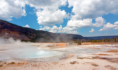 Black Sand Geyser Basin with erupting hot spring geyser in Yellowstone National Park in Wyoming USA