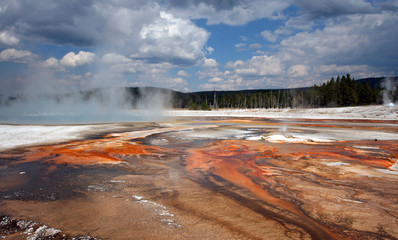 Black Sand Geyser Basin under autumn blue sky in Yellowstone National Park in Wyoming USA