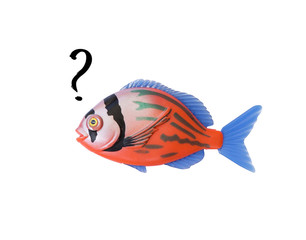 Fish modelings with question marks. Confusion concept. Toy exotic fish isolated on white background with clipping mask.