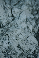Grey stone background - grunge texture