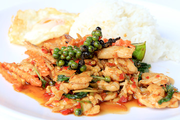 stir fried chicken with roasted chili paste and fresh Piper nigrum on jasmine rice in white plate on white background. Thai style food.