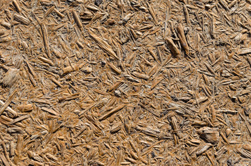 Texture of osb board for background