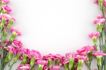 Pink carnation flowers on white background with copy space
