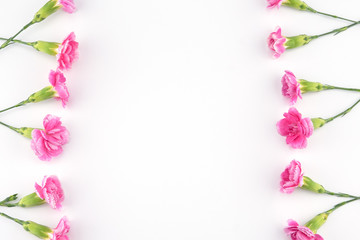 Pink carnation flowers on white background with copy space