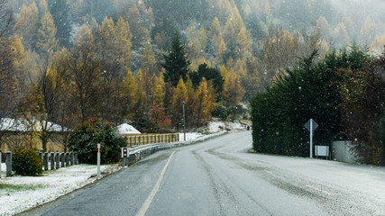 Snow falling on road